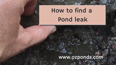 using milk to find leak in pond liner|How to Find a Leak in My Pond Liner: A Step